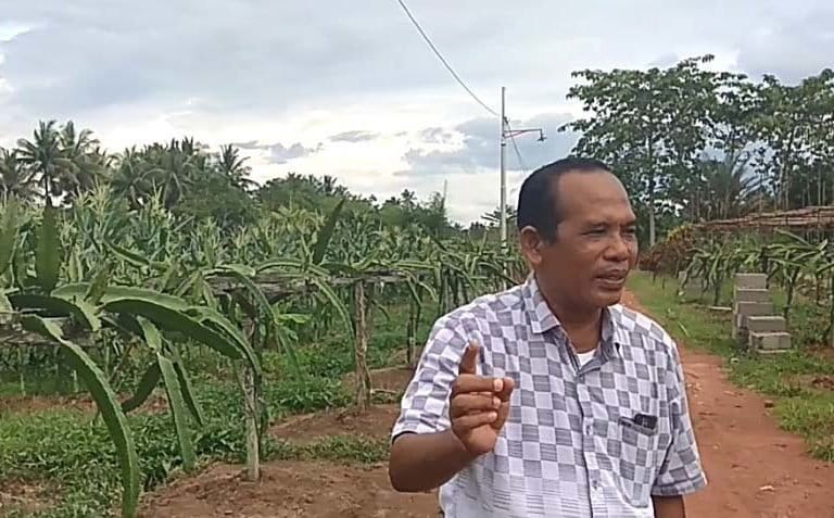 Suma di kebun buah naganya. Foto: Aseanty Pahlevi/ Mongabay Indonesia