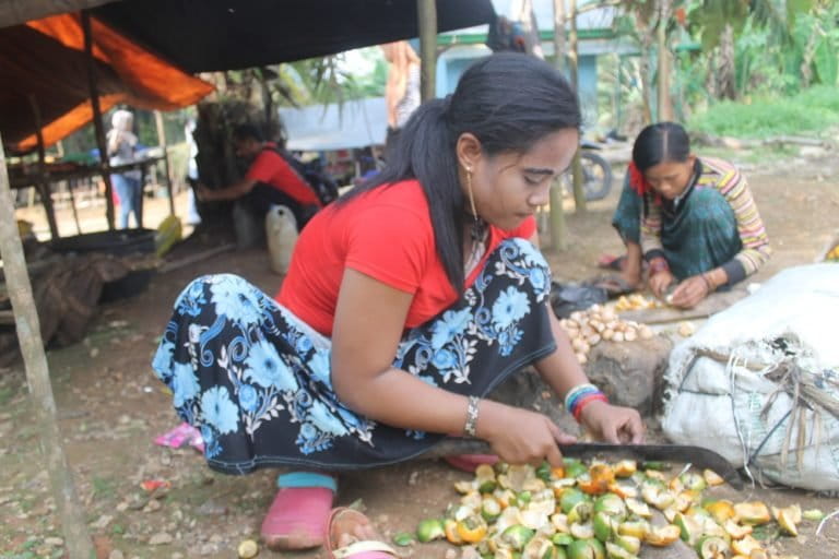 Perempuan Rimba di Rombong Sikar, menguliti pinang pada November 2018. Foto: Elviza Diana/ Mongabay Indonesia