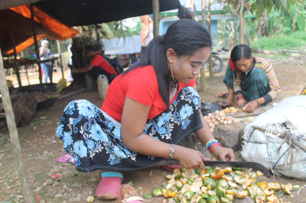 Perempuan Rimba di Rombong Sikar, menguliti pinang pada November 2018. Foto: Elviza Diana/ Mongabay Indonesia