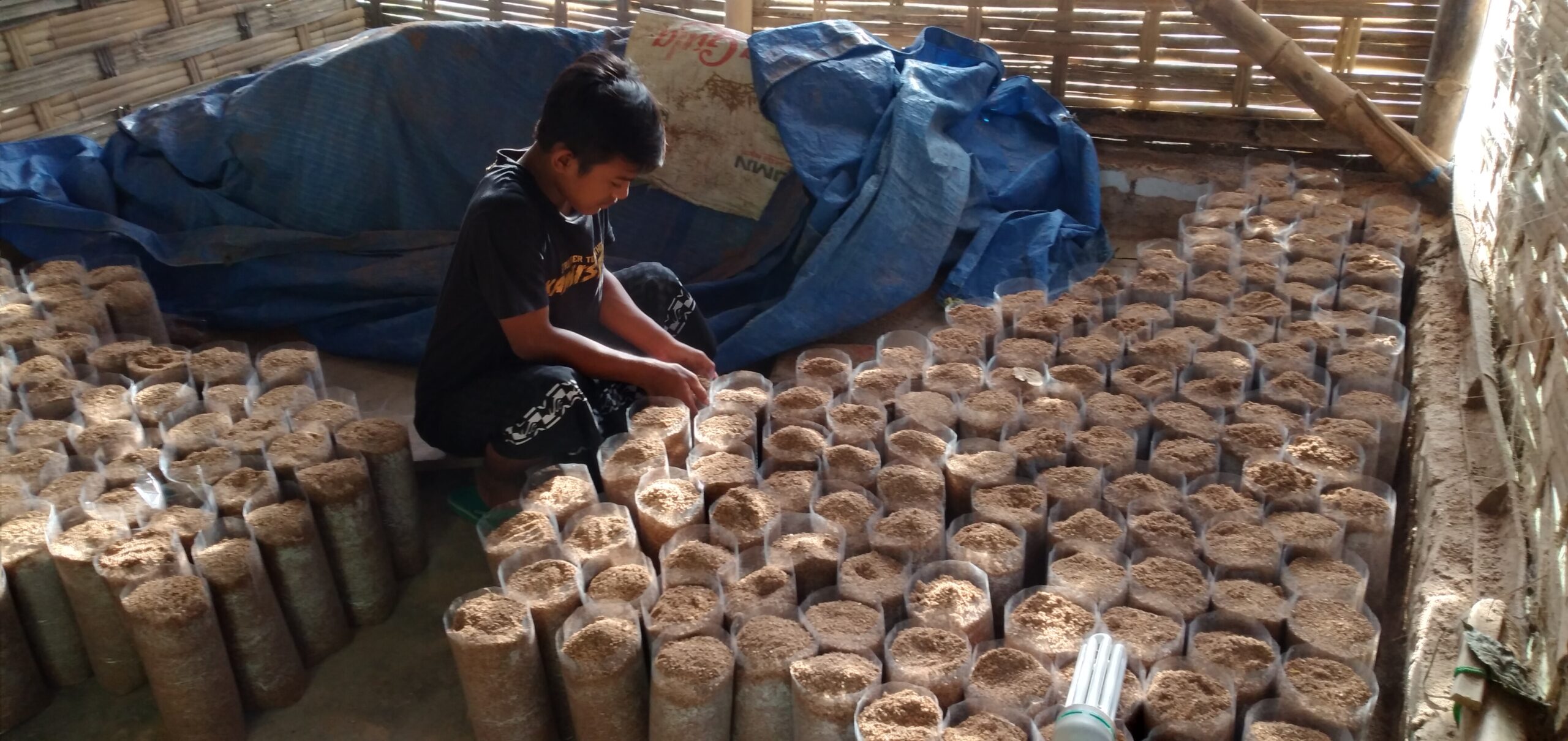 Proses Pemasukan Campuran Bahan Media Tanam ke Plastik. Foto: Moh. Tamimi/Mongabay Indonesia
