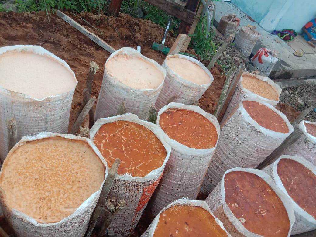 Sagu basah sia[ kemas dalam karung. Foto: Asrida Elisabeth/ Mongabay Indonesia