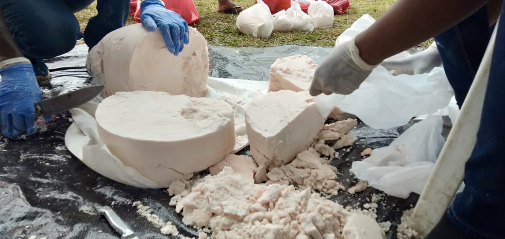 Sagu, salah satu sumber pangan lokal yang banyak tumbuh di daerah-daerah di nusantara ini, seperti Riau, Papua, Maluku dan lain-lain. Tanaman sagu, antara lain yang cocok di lahan gambut. Foto: Asrida Elisabeth/ Mongabay Indonesia