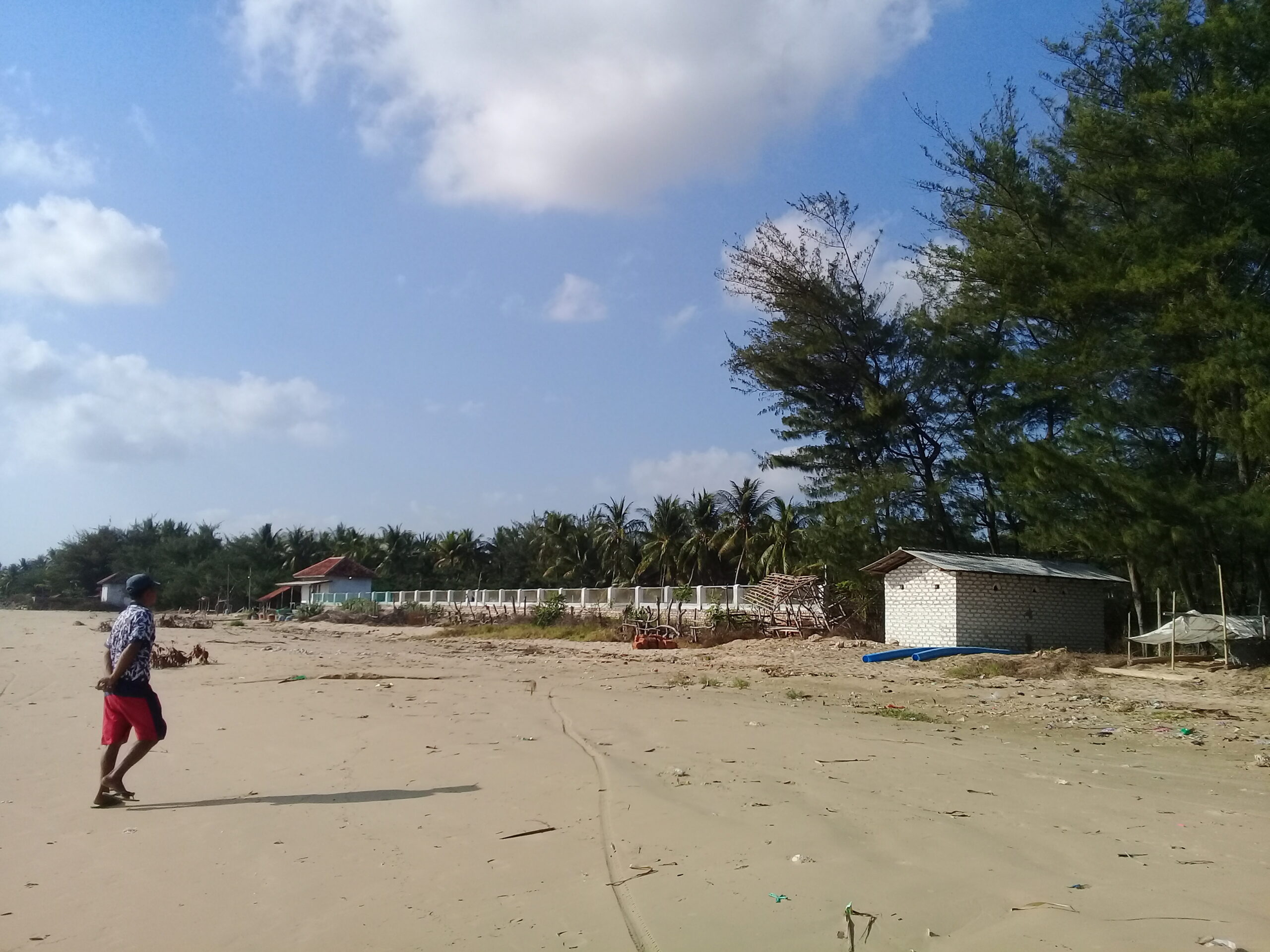 Di Legung Barat ini lahan pertanian berubah jadi tambak ilegal. Foto: Moh Tamimi/ Mongabay Indonesia