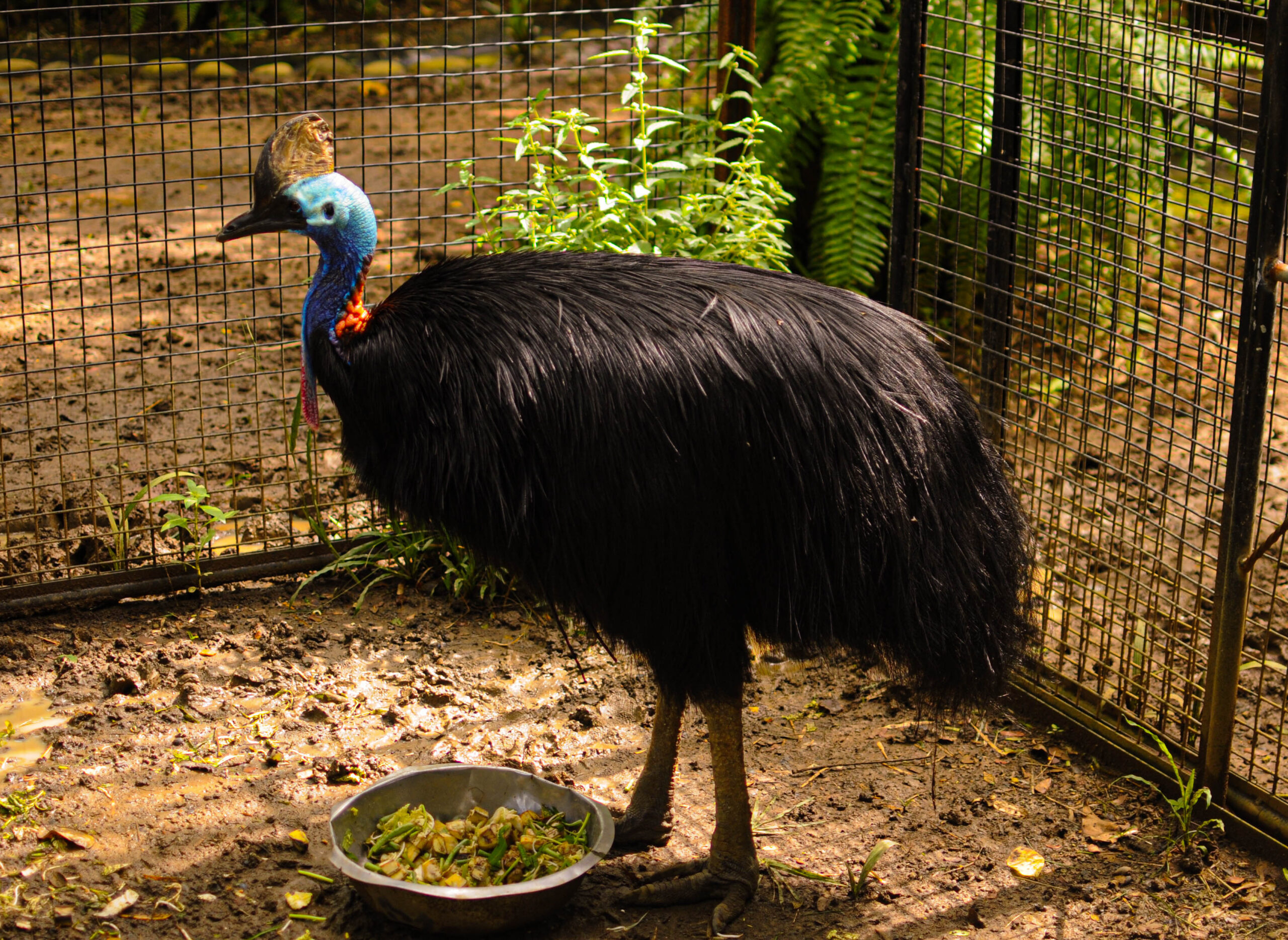 Gowa Discovery Park . Foto: Eko Rusdianto/ Mongabay Indonesia
