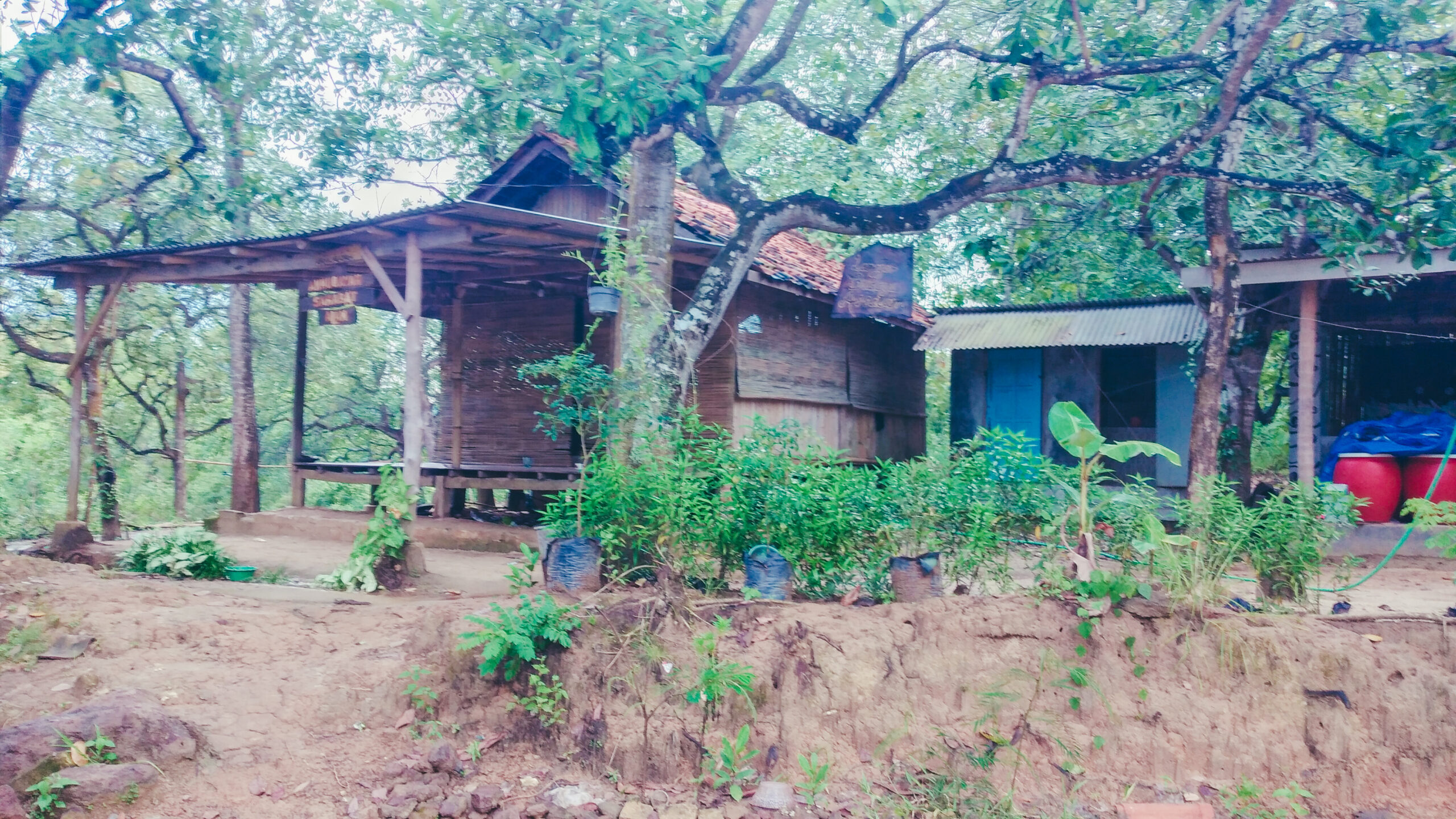  Suasana siang hari Assalam, tempat yang sejuk. Foto: Moh. Tamimi/Mongabay Indonesia 