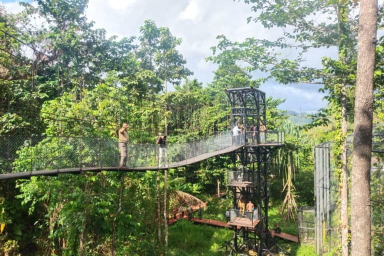 Pengunjung Suaka Paruh Bengkok. Foto: Sofyan Ansar dari TNAL