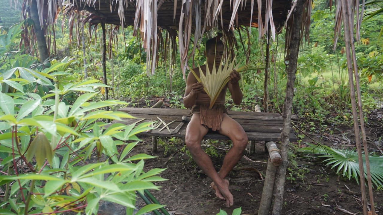 Aktivitas Suku O Hongana Manyawa memanfaatkan daun livistonia. Foto: Sofyan Ansar dari TNA