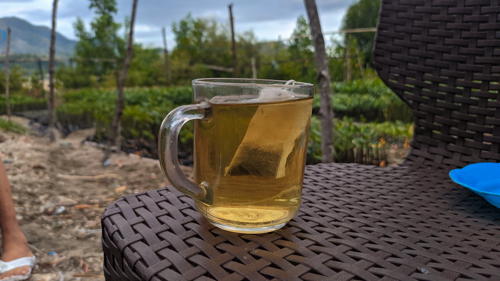 Teh mangrove buatan MLC. Foto: Agus Mawan/ Mongabay Indonesia