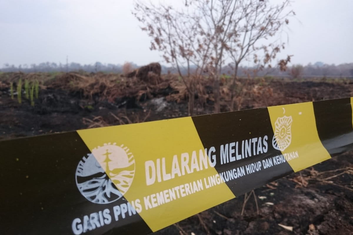 KLHK segel konsesi perusahaan terbakar di Muara Jambi, pada 2019. Foto: Yitno Suprapto/ Mongabay Indonesia
