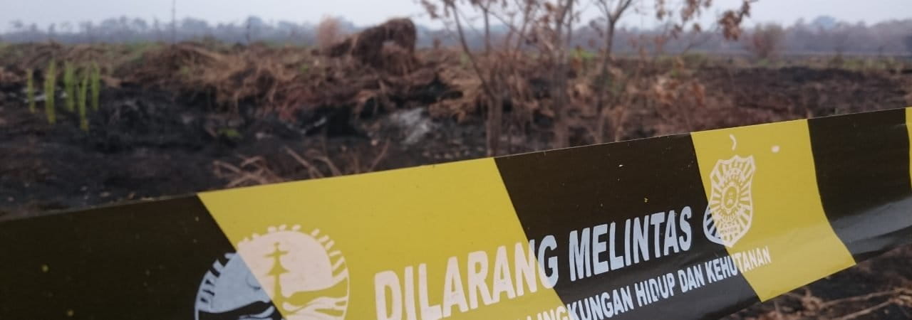 KLHK segel konsesi perusahaan terbakar di Muara Jambi, pada 2019. Foto: Yitno Suprapto/ Mongabay Indonesia
