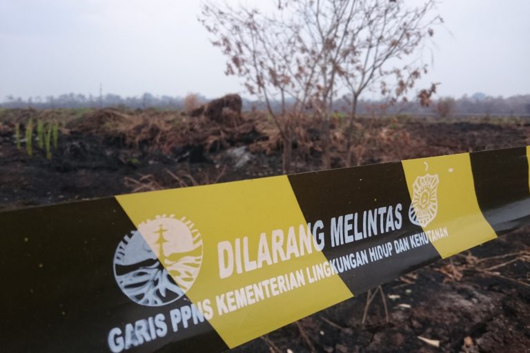 KLHK segel konsesi perusahaan terbakar di Muara Jambi, pada 2019. Foto: Yitno Suprapto/ Mongabay Indonesia