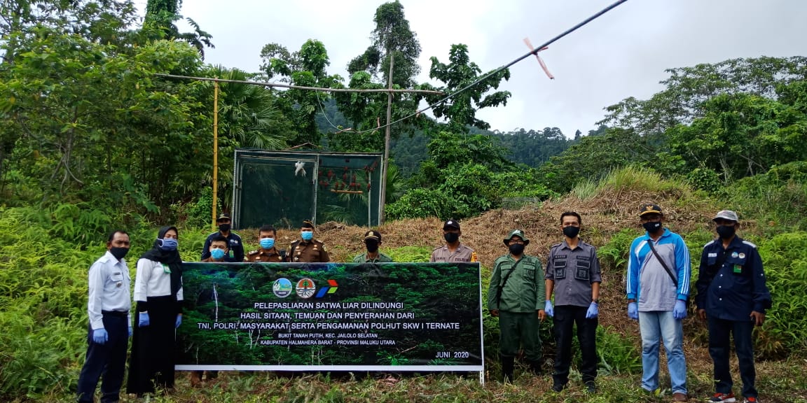 Lokasi pelepasliaran di hutan Desa Domato, Jailolo Selatan, Halmahera Barat, Maluku Utara