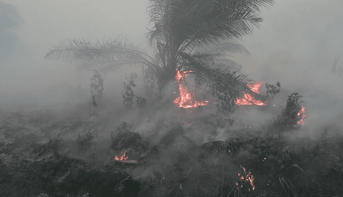 Kebakaran di konsesi PT BEP di Muarajambi. Foto: Yitno Supriyanto/ Mongabay Indonesia