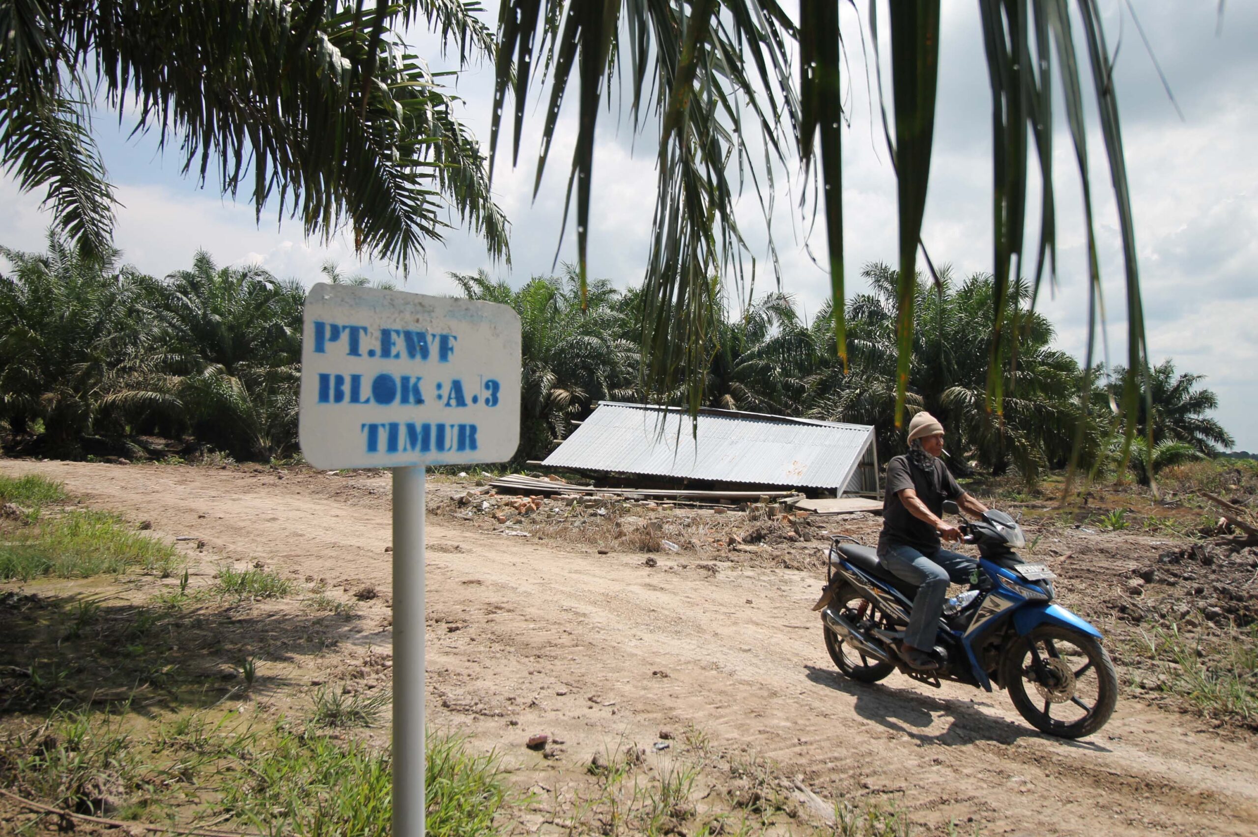 Hidup warga berkeliling konsesi perusahaan sawit. Foto: Elviza Diana/ Mongabay Indonesia