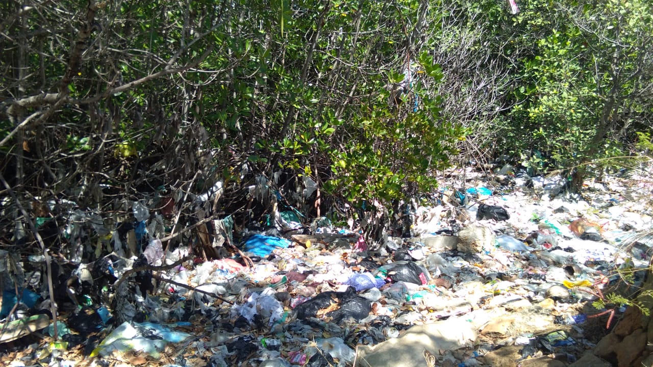 Sampah yang dibuang sembarangan, berakhir di laur dan penuhi mangrove. Foto: Gafur Abdullah/ Mongabay Indonesia
