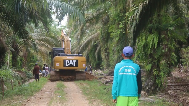 Alat berat di kebun sawit warga. Foto: Yudi Semai/ Mongabay Indonesia