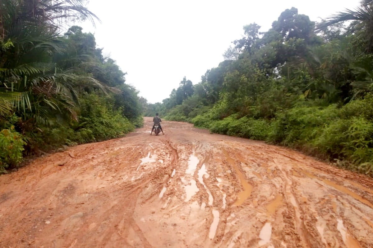 Jalan dari Desa Linau ke Sambau, Lingga. Kedua desa ini sudah ada izin kebun sawit belasan ribu hektar. Foto: Yogi Eka Sahputra /Mongabay Indonesia