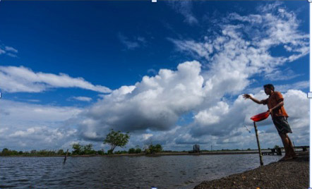 Tambak ikan kelompok masyarakat di gambut di Sumsel. Foto: Kemitraan