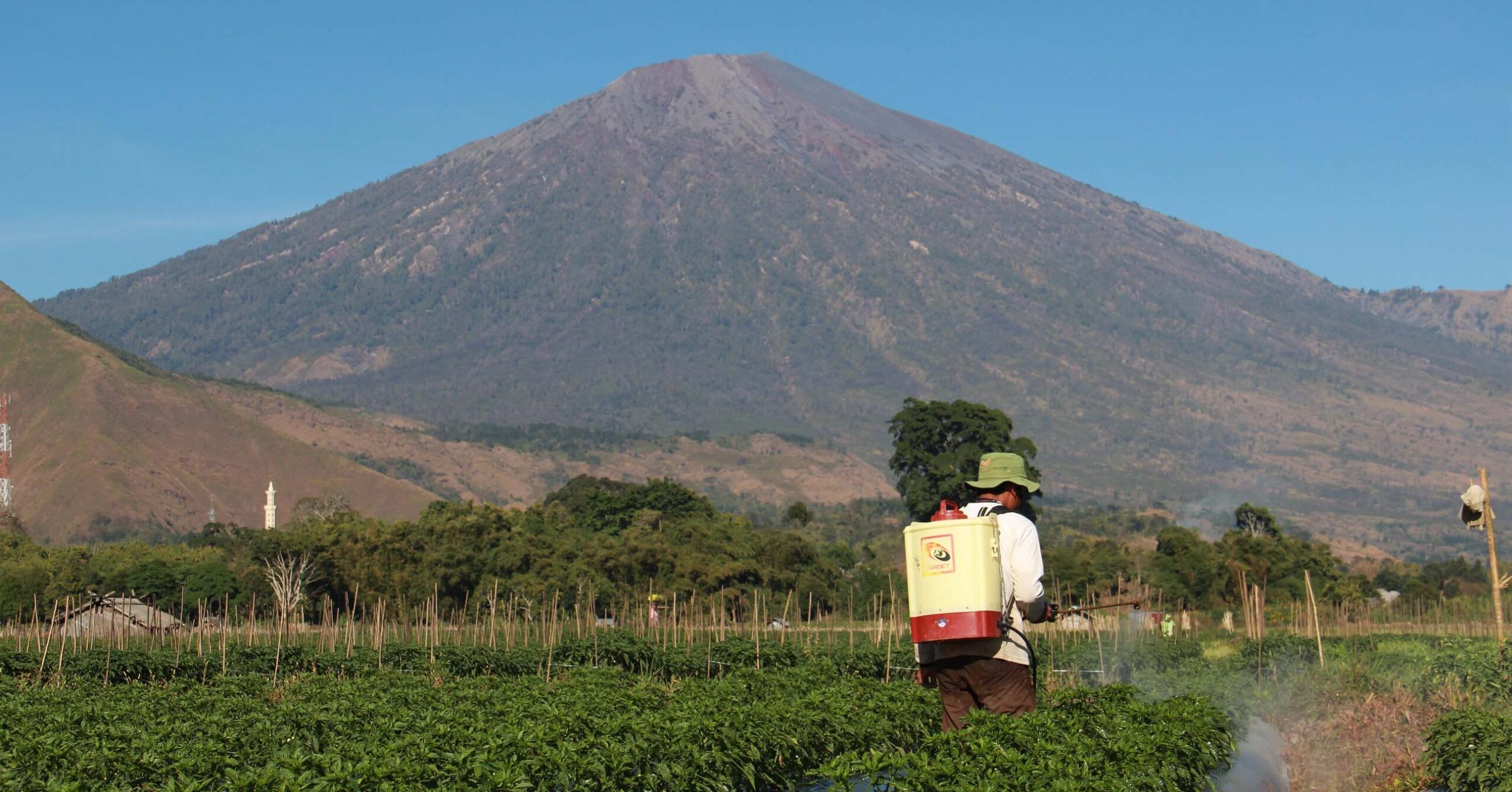 Seorang petani sedang menyemprot tanamannya di Sembalun. Penggunaan bahan kimia yang berlebihan dapat mengancam kelestarian lingkungan. Foto: Fathul Rakhman/Mongabay Indonesia