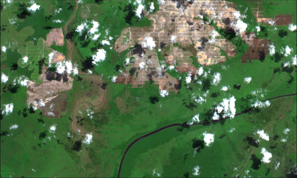 Gambaran konsesi PT KPAM pada 1-26 Juli 2019