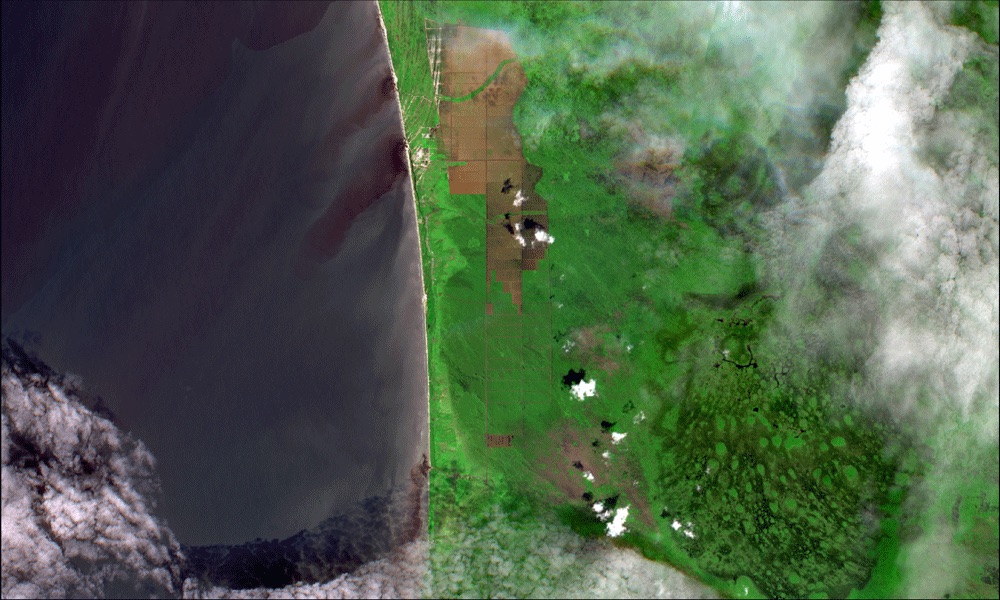 Penampakan konsesi PT Kumai Sentosa pada awal Januari 2019