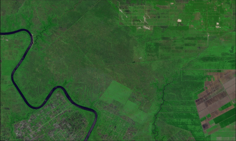 Penampakan di konsesi PT BMH periode 1-3 Mei 2019