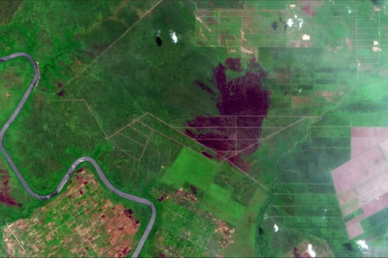 Kondisi konsesi PT BMH pada 3-15 September 2019