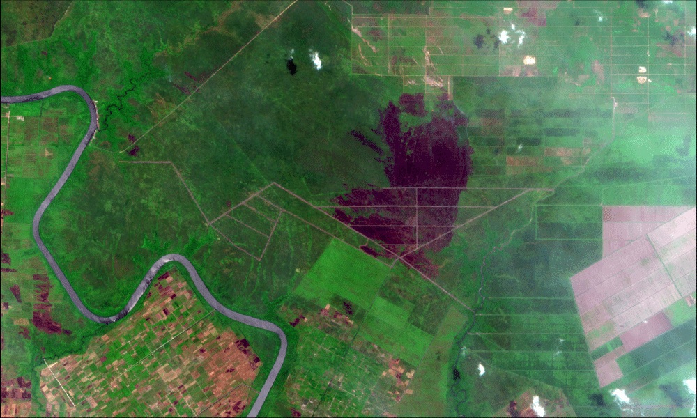 Kondisi konsesi PT BMH pada 3-15 September 2019