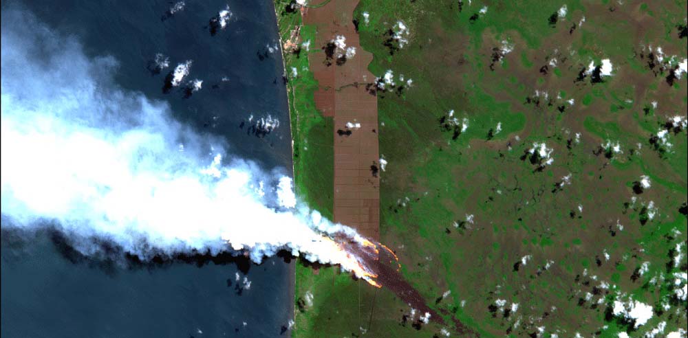 Kebakaran di konsesi PT Kumai Sentosa pada 5-22 Agustus 2019