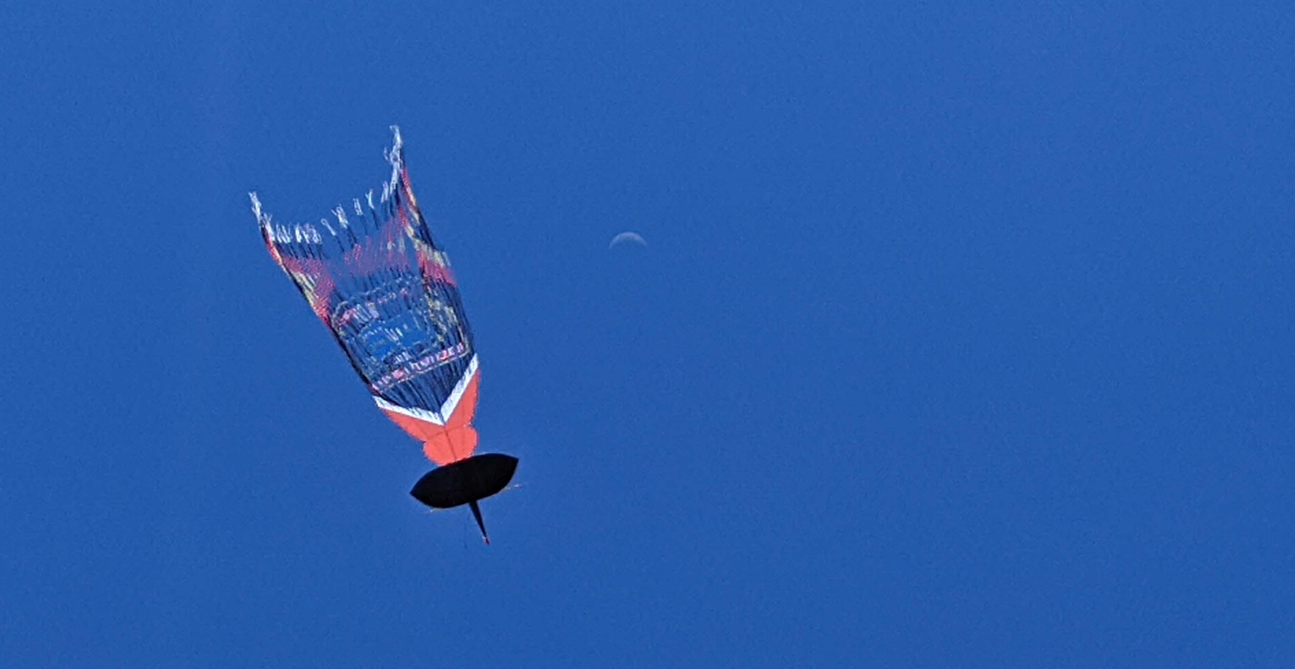 Layang Mandar mengudara. Foto: Agus Mawan/ Mongabay Indonesia