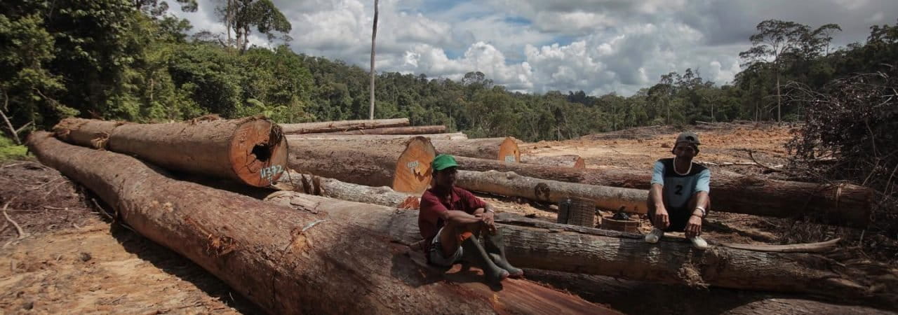 Hutan adat Laman Kinipan dihancurkan untuk kebun sawit. Protes tak mau hutan mereka rusak, warga Kinipan pun hadapi jerat hukum. Kini, Kampung Kinipan sedang dilanda banjir besar. Kala hutan mereka hilang, bencana datang....Foto: Save Kinipan/ Mongabay Indonesia
