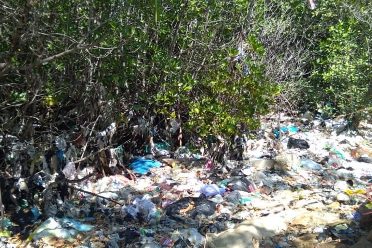 Hutan mangrove di pesisir Madura, penuh sampah. Foto: Gafur Abdullah/ Mongabay Indonesia