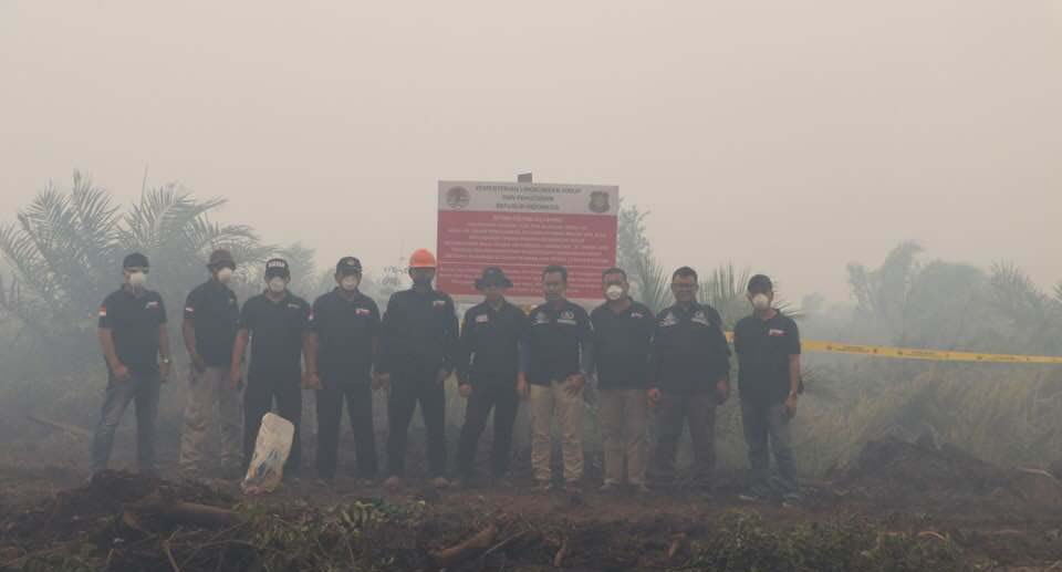 Direktorat Penegakan Hukum KLHK usai menyegel perkebunan sawit yang terbakar. Foto: Ditjen Penegakan Hukum