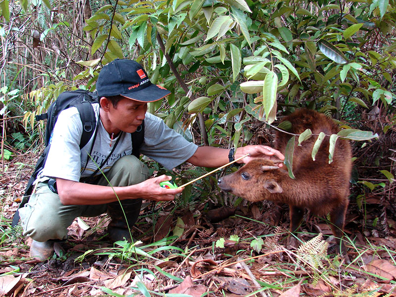 Kozoynakli porno nerd Qishda jinsiy aloqa