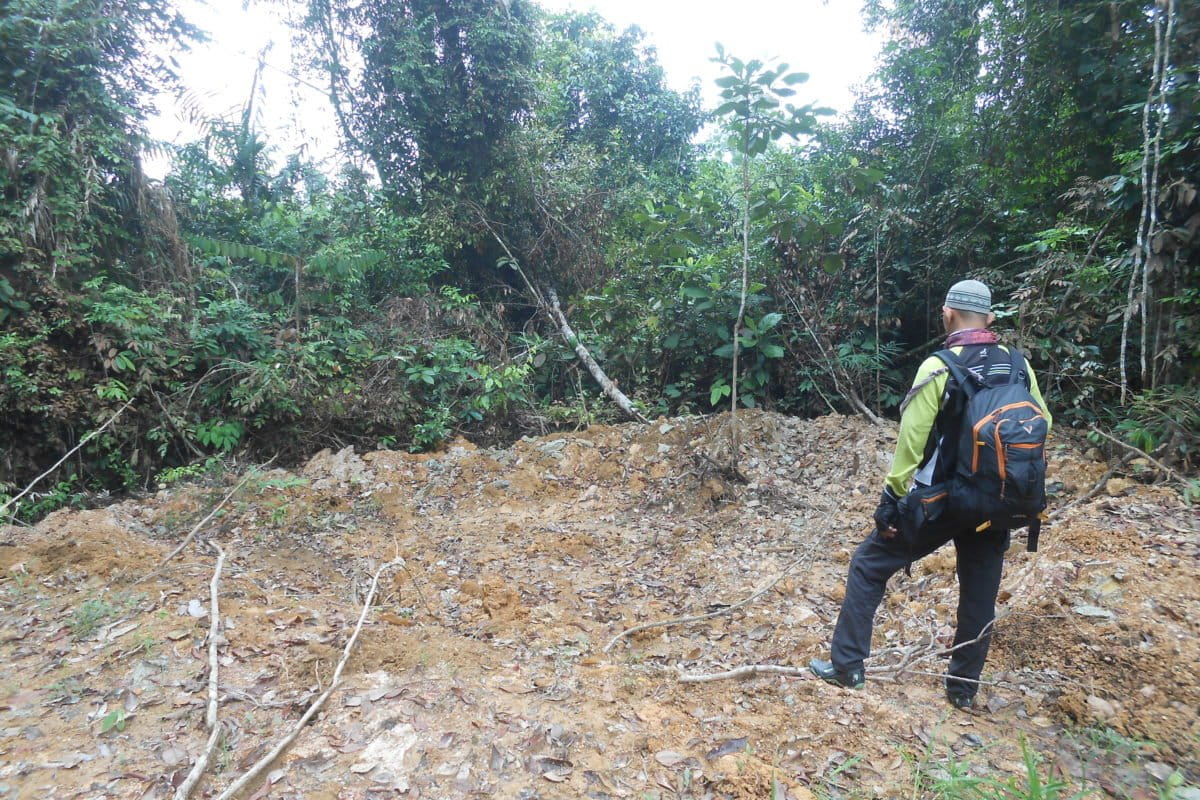 Lokasi kuburan gajah mati dengan belalai terputus dan gading belum sempat diambil, di Kelayang, Indragiri Hulu. Foto: Suryadi/ Mongabay Indonesia
