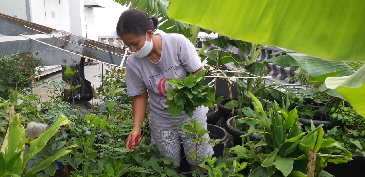 Produksi dan konsumsi pangan sehat. Pangan dari sumber karbohidrat sampai sayur mayur dan bahan minuman, hasil dari tanam sendiri secara organik. Foto: Sapariah Saturi/ Mongabay Indonesia
