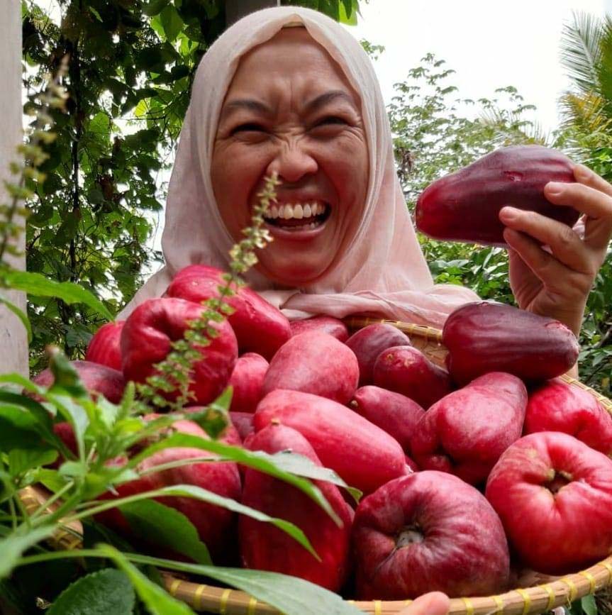 Nissa Wargadipura, pendiri Pesantern Ekologi Ath-Thaariq, saat panen jambu dari pekarangan pesantren. Foto: dari akun Facebook Nissa Wargadipura