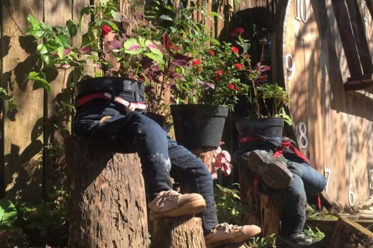 Tanaman hias di Kampung Ladang. Foto: Brita News Lumbanbatu/ Mongabay Indonesia