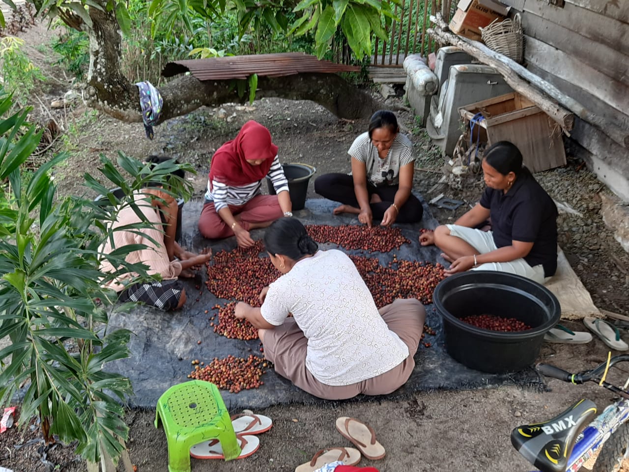 Perempuan petani kota di Desa gandang Barat. Foto: dokumen Kemitraan