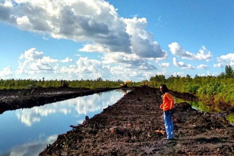 Kanal primer eks PLG di Kabupaten Pulang Pisau, Kalimantan Tengah yang ditutup secara permanen. Nantinya ditengah hanya disisakan salurah air untuk jalur transportasi warga. Foto: Indra Nugraha/ Mongabay Indonesia
