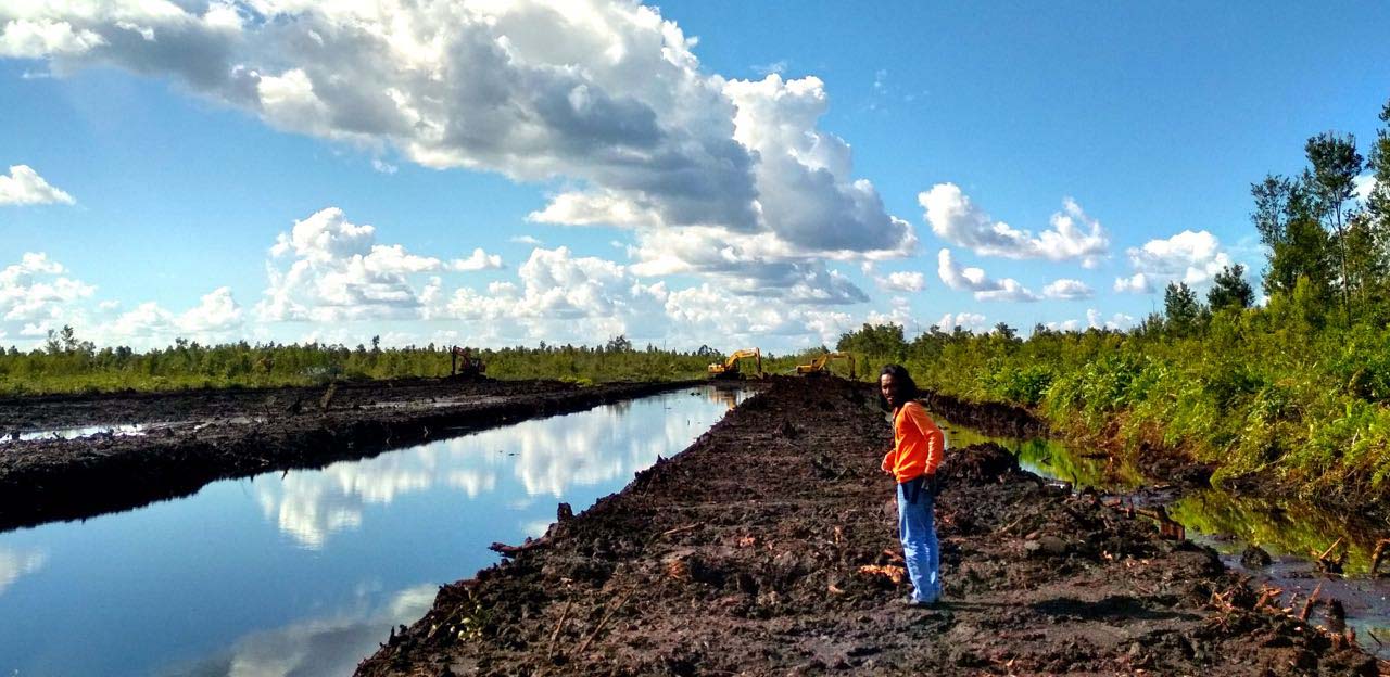 Kanal primer eks PLG di Kabupaten Pulang Pisau, Kalimantan Tengah yang ditutup secara permanen. Nantinya ditengah hanya disisakan salurah air untuk jalur transportasi warga. Foto: Indra Nugraha/ Mongabay Indonesia