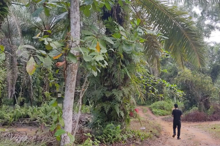 Pintu masuk ke PT Tirta Madu: Foto: Yogi Eka Sahputra /Mongabay Indonesia