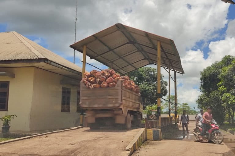 Kantor sekaligus pabrik pengolahan sawit milik Pt Tirta Madu. Foto: Yogi Eka Sahputra /Mongabay Indonesia
