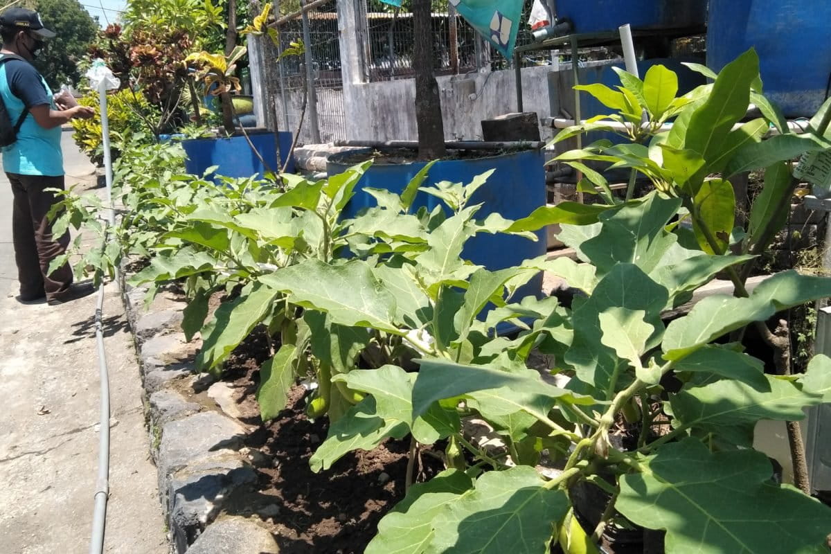 Sayur mayur di depan rumarh warga Glintung. Foto: EKo Widianto/ Mongabay Indonesia