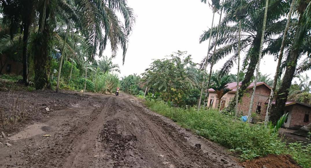 Lahan sengketa warga dan perusahaan. Foto: Dedy Nurdin