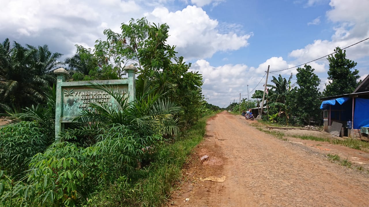 Memasuki Desa Transmigrasi Pandan Sejahtera. Foto: Dedy Nurdin