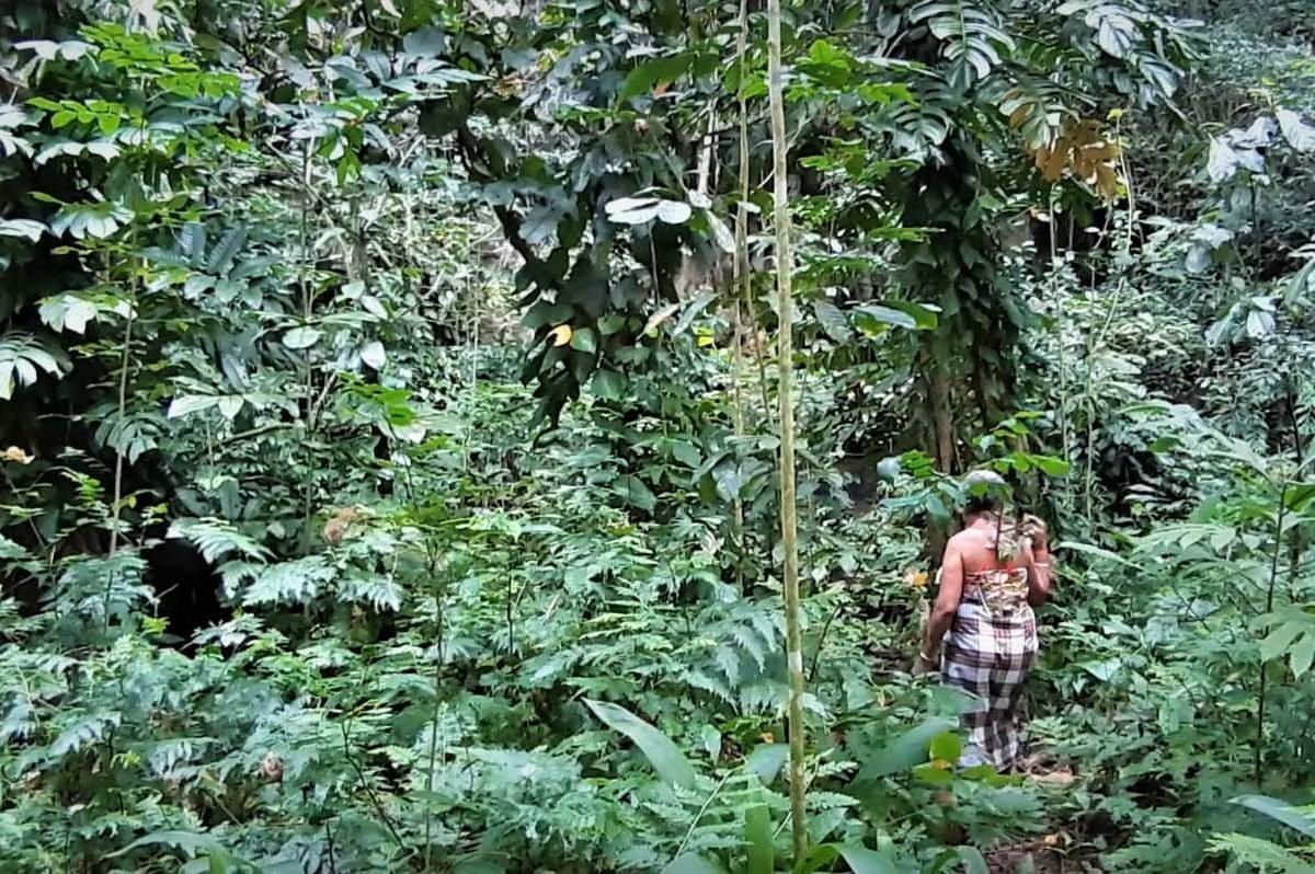 HUtan sebagai bank untuk menyimpan sumber energi bagi Masyarakat Adat Moi Kelim. Foto: Lusia Arumingtyas/ Mongabay Indonesia
