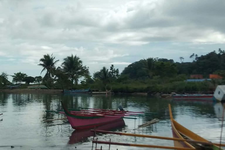 Perahu nelayan di Teluk Kamsai. Foto: Asrida Elisabeth/ Mongabay Indonesia