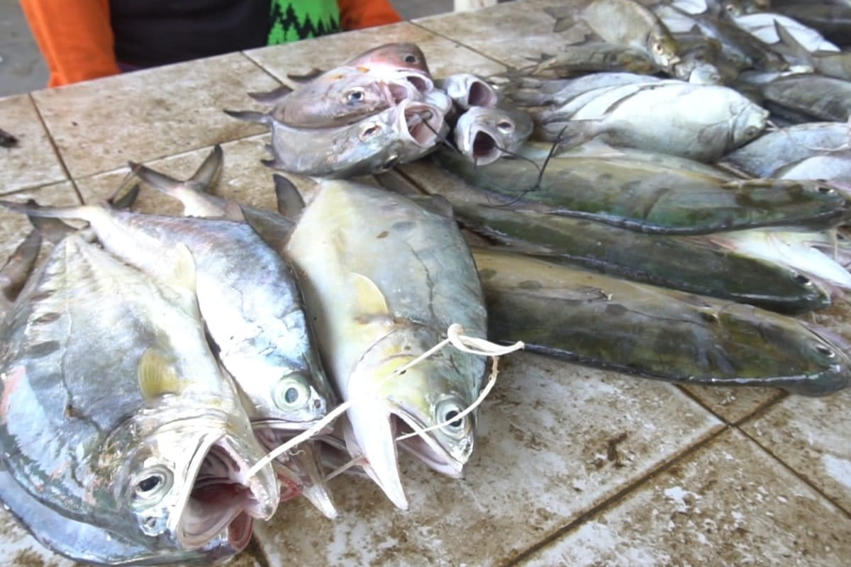 Ikan jualan pedagang di Pasar Demta. Foto: Asrida Elisabeth/ Mongabay Indonesia