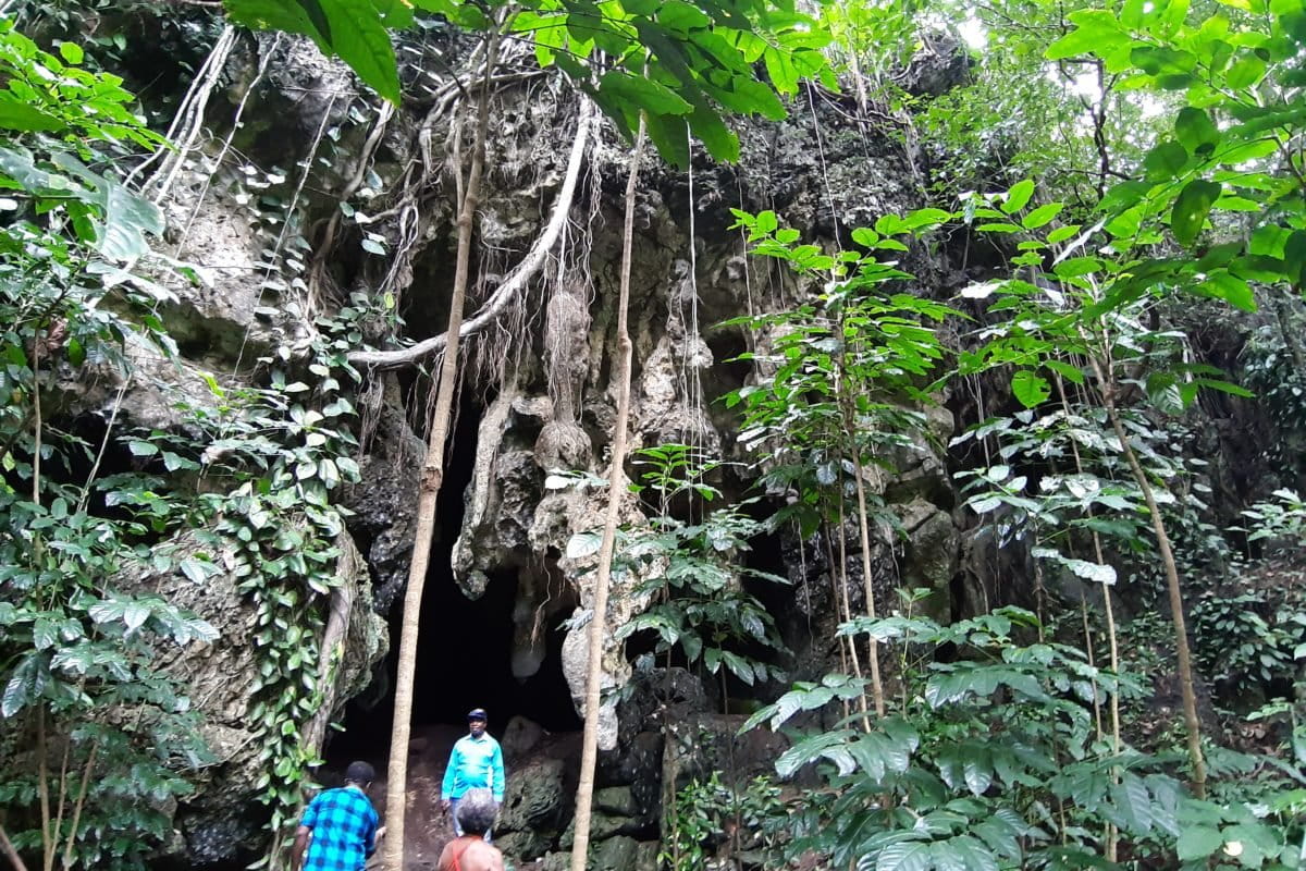 Hutan di Papua Barat ini sebagai penyerap dan penyimpan air, yang bisa jadi sumber energi bagi masyarakat. Foto: Lusia Arumingtyas/ Mongabay Indonesia